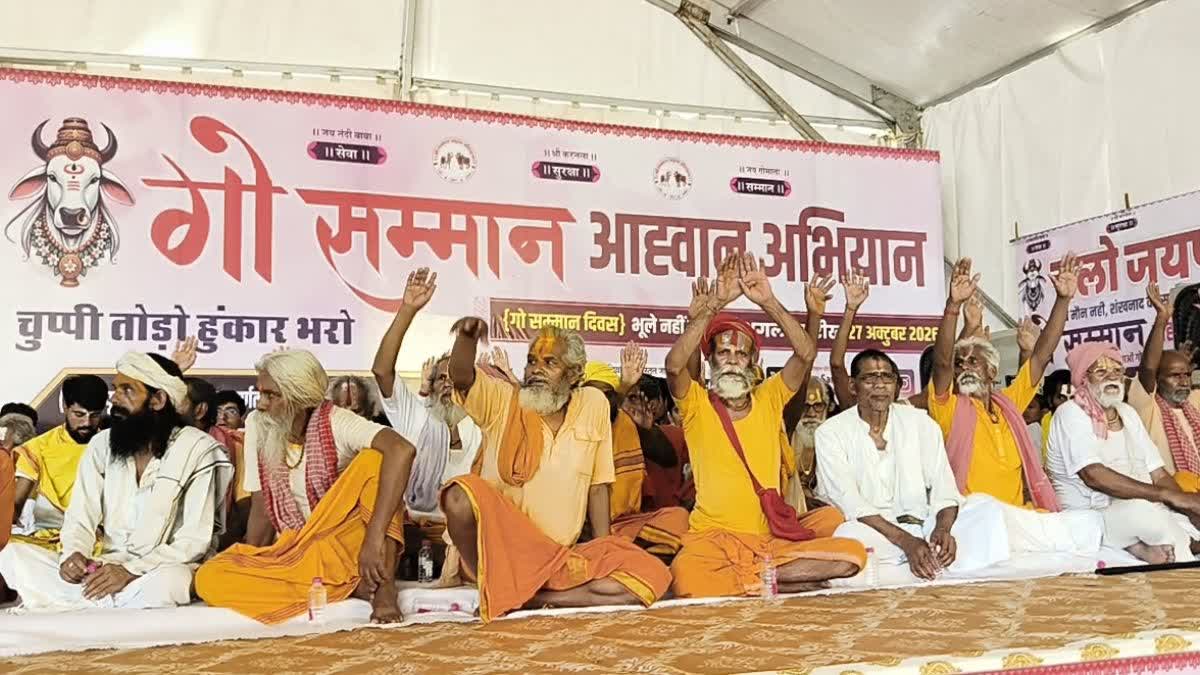 गौशालाओं को 12 महीने अनुदान की मांग पर जयपुर में हुंकार, 50 हजार गोभक्तों के जुटने का दावा